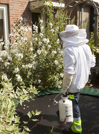 Exterminateur en action en exterieur Pulvérisation d'insecticide anti-insectes volants